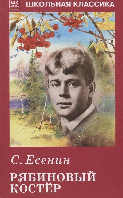 Рябиновый костёр — обложка издания