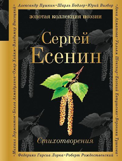 Стихотворения — обложка издания