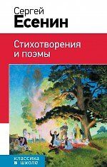 Стихотворения и поэмы — обложка издания
