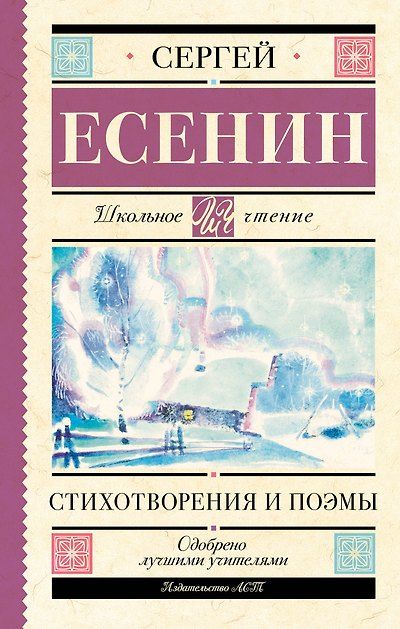 Стихотворения и поэмы — обложка издания