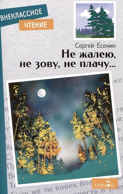 Внеклассное чтение. Не жалею, не зову, не плачу…. — обложка издания